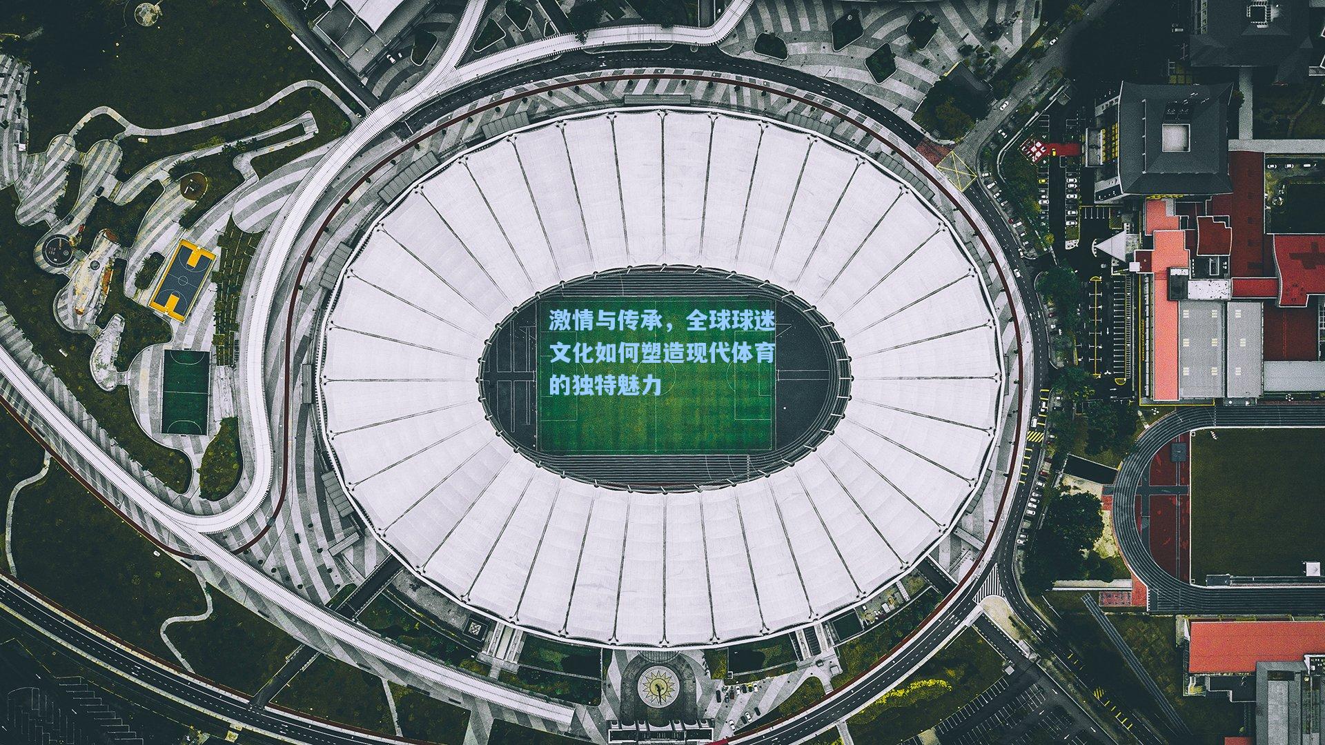 激情与传承,全球球迷文化如何塑造现代体育的独特魅力